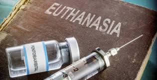 eutanasia4.jpg