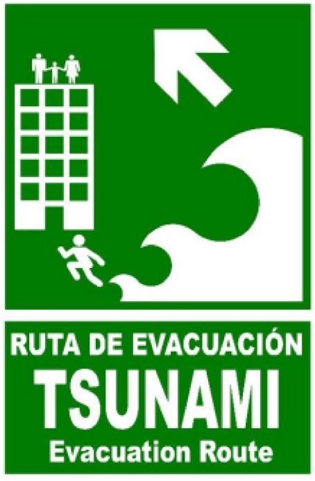 TSUNAMI 11