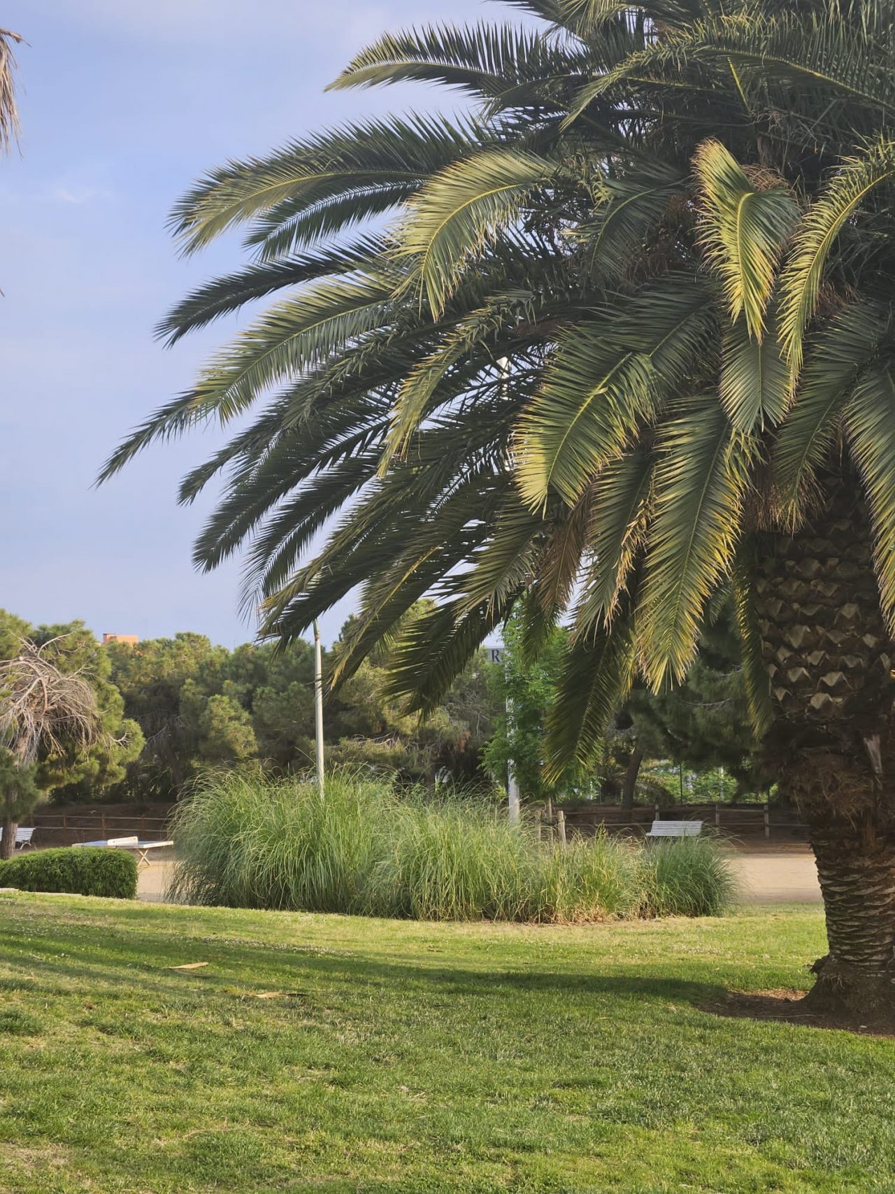 Parc-Tarragona-2-imatge-1280x1707.jpg